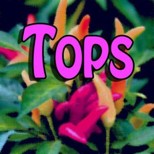 Tops